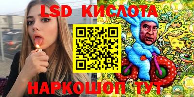 молекула духа Камышлов