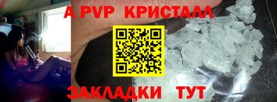 молекула духа Камышлов