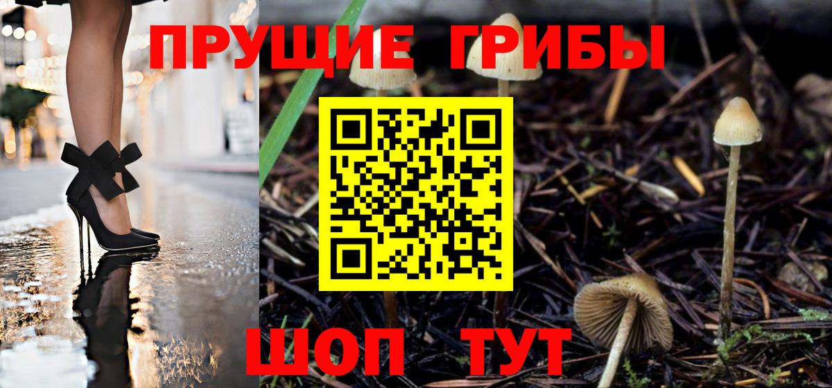 Псилоцибиновые грибы прущие грибы  Вход с VPN  Галлюциногенные грибы ЛСД  Геленджик 
